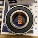 Bạc đạn 6205 Ruwh 2RS